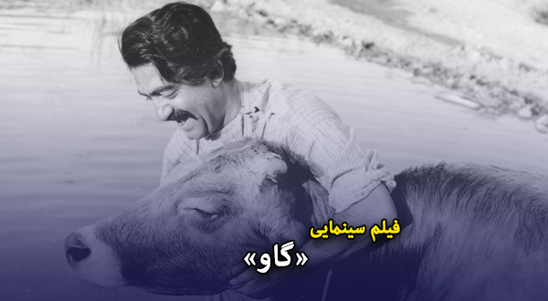 فیلم سینمایی «گاو»